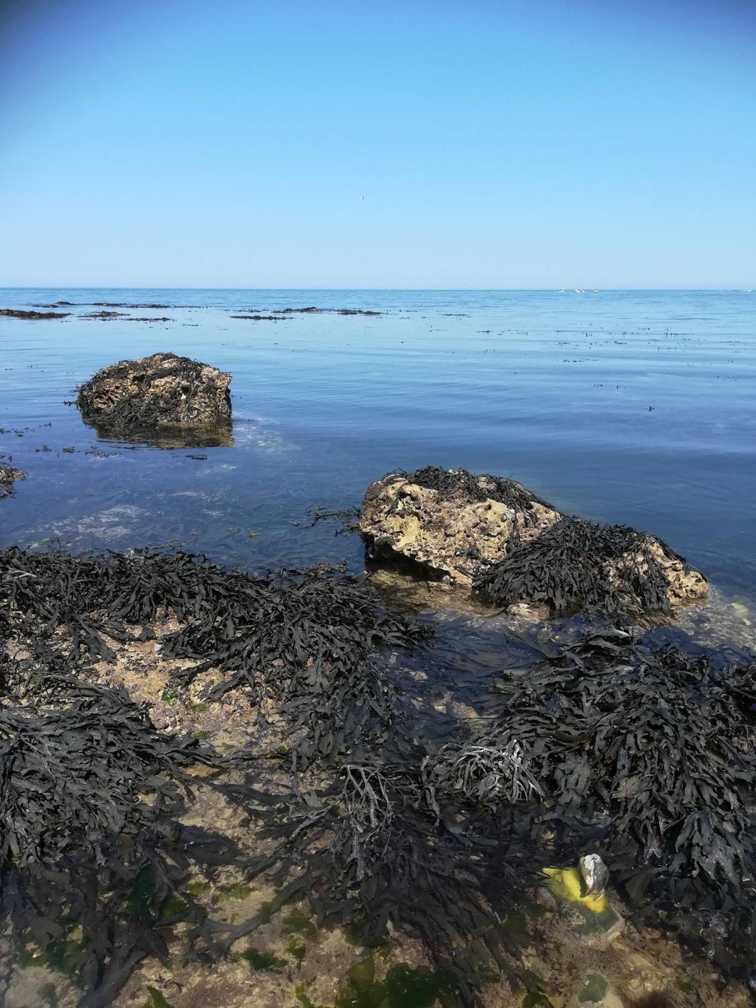 Vila Le Costa Rica En Bord De Mer Fécamp Exteriér fotografie